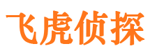 恩平飞虎私家侦探公司